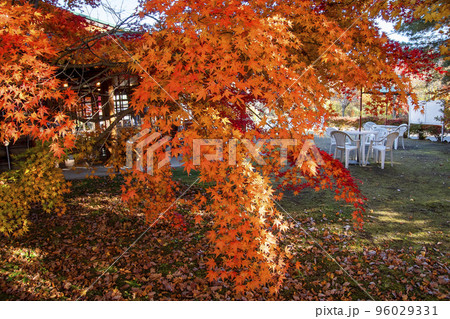 紅葉のカフェテラス 紅葉のカフェテラス 96029331