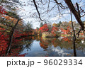 川沿いの紅葉 96029334
