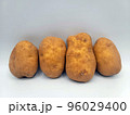 じゃがいも・ポテト 96029400