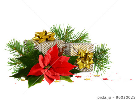 Two wrapped in festive paper gift boxes with green christmas twigs and red poinsettia flower on white background 96030025
