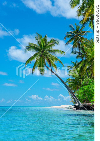 Exotic paradise Maldive resort lagoon bay view Exotic paradise Maldive resort lagoon bay view 96030181