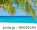 Maldive Islands Sand Beach and green palm foliage view 96030194