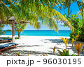 Maldive Islands Sand Beach and green palm foliage view 96030195