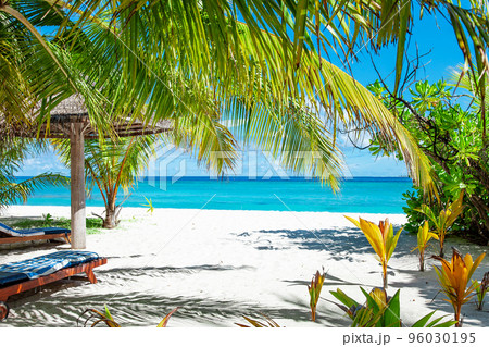 Maldive Islands Sand Beach and green palm foliage view 96030195