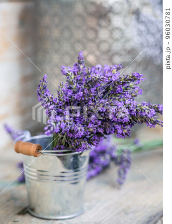 Bunch of lavender flowers 96030781