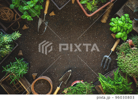 Gardening tools and herbs 96030803