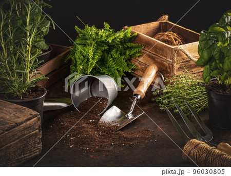 Gardening hobby concept 96030805