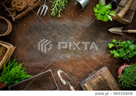Gardening tools and herbs Gardening tools and herbs 96030808