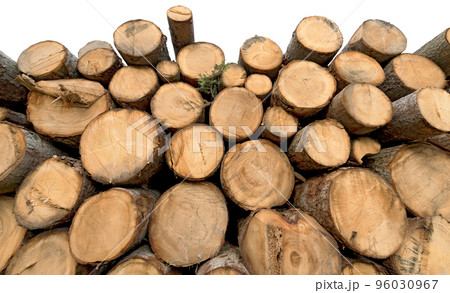 Stack of Pine Tree Trunks Isolated on White Background Stack of Pine Tree Trunks Isolated on White Background 96030967