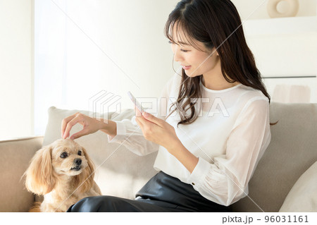 犬のいる暮らし 犬のいる暮らし 96031161