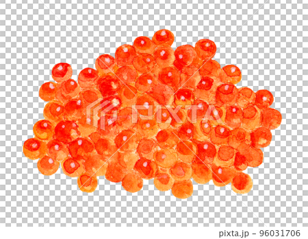 Hand drawn watercolor salmon roe illustration 96031706