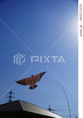 青空を舞う害鳥対策の鳥型カイト 96031839