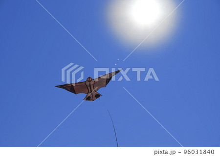 青空を舞う害鳥対策の鳥型カイト 96031840