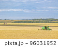 agricultural field with wheat ears during harvesting 96031952