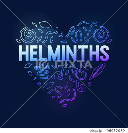 Helminths vector concept heart shaped blue illustration or banner Helminths vector concept heart shaped blue illustration or banner 96032089