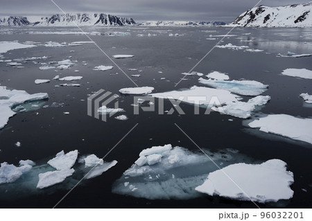 北極圏の流氷 96032201