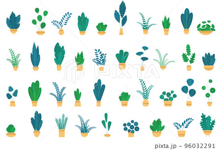 Set house plants and flowers in ceramic pots. Set house plants and flowers in ceramic pots. 96032291