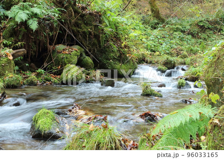 大自然の中を流れる清流 96033165