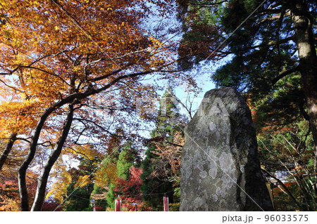 青空の下の紅葉した木と石碑 青空の下の紅葉した木と石碑 96033575