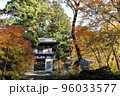 紅葉した木々と寺院の門 96033577