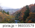 紅葉した木々と雲に覆われた大山 96033579