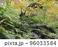山の中にある苔に覆われた石の階段 96033584