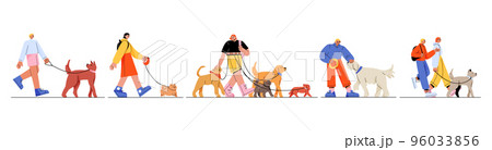 People walking with dogs on leash flat set 96033856