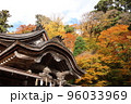 青空の下の神社と紅葉 96033969