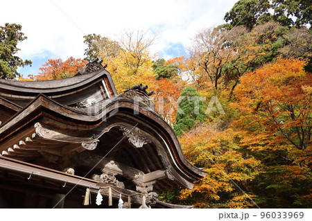 青空の下の神社と紅葉 96033969