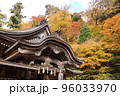 青空の下の神社と紅葉 96033970