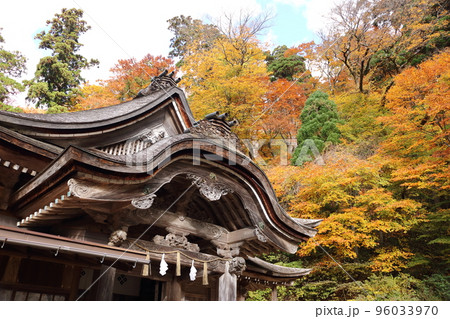 青空の下の神社と紅葉 96033970