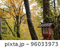 紅葉と赤い灯篭 96033973