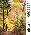 大自然の中の紅葉した木々と登山道 96033974