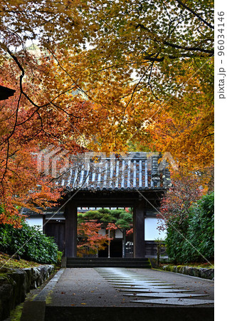 最勝院の紅葉 96034146