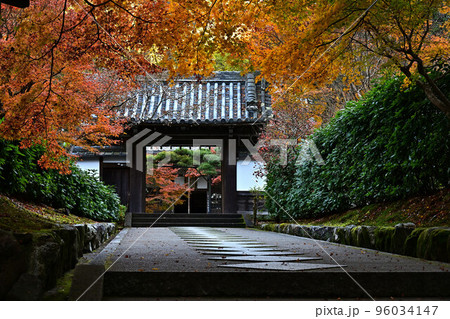 最勝院の紅葉 最勝院の紅葉 96034147