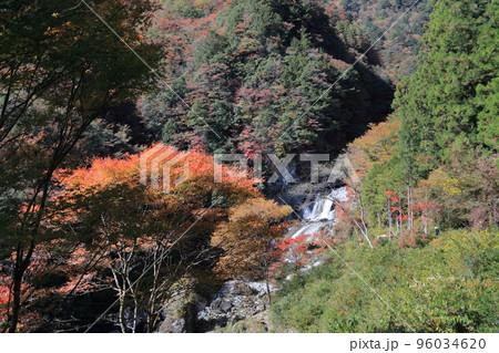 秋の瀬戸川渓谷（アメガエリの滝） 96034620