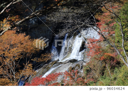 秋の瀬戸川渓谷（アメガエリの滝） 96034624