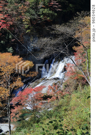 秋の瀬戸川渓谷（アメガエリの滝） 96034628