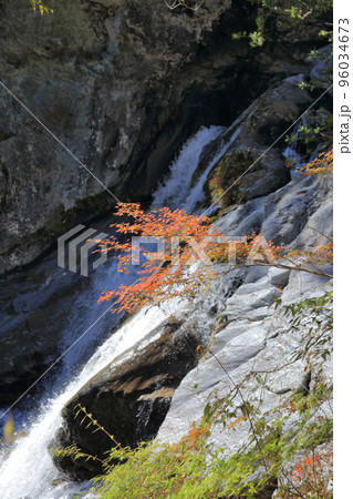 秋の瀬戸川渓谷（アメガエリの滝とモミジ） 96034673