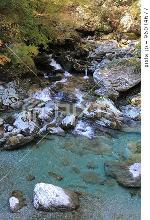 秋の瀬戸川渓谷（ぶらぶら橋付近） 96034677