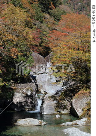 秋の瀬戸川渓谷(展望所付近) 秋の瀬戸川渓谷(展望所付近) 96034688