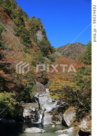 秋の瀬戸川渓谷(展望所付近) 秋の瀬戸川渓谷(展望所付近) 96034692