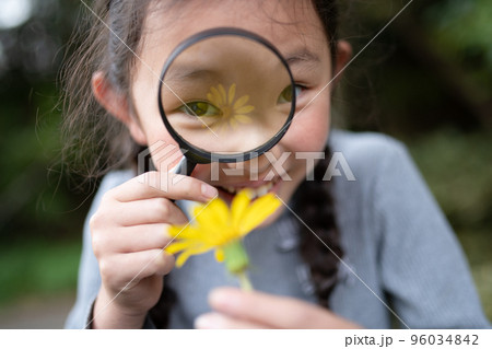 黄色い花を虫眼鏡で観察する女の子 96034842
