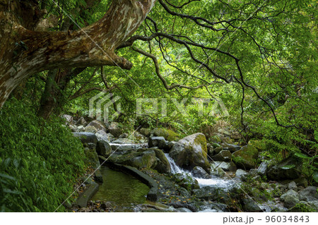 谷 山あい 渓谷 96034843