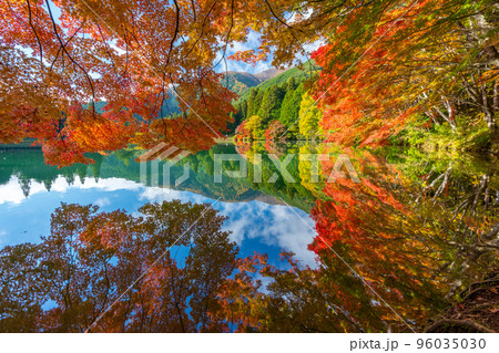 【南アルプス】　伊奈ヶ湖での紅葉 96035030