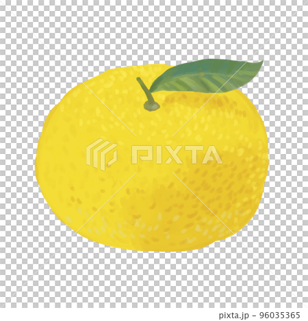 柚子 96035365