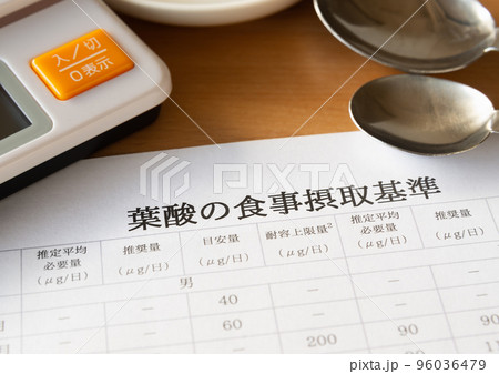 葉酸の食事摂取基準　健康管理 96036479