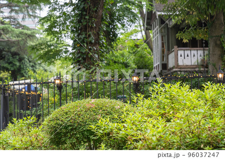 初夏の日比谷公園の緑 初夏の日比谷公園の緑 96037247