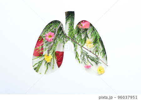 World lung day or lung healthy concept on white background 96037951