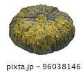 Pumpkins isolated on white with clipping path inside 96038146